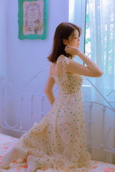 河豚完整版